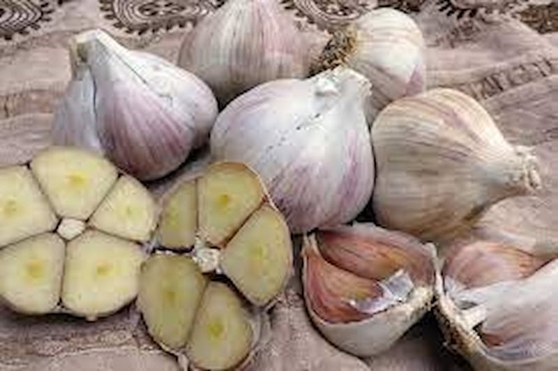 سیر فارس بنفش  عطر ملایم و رنگ بنفش
